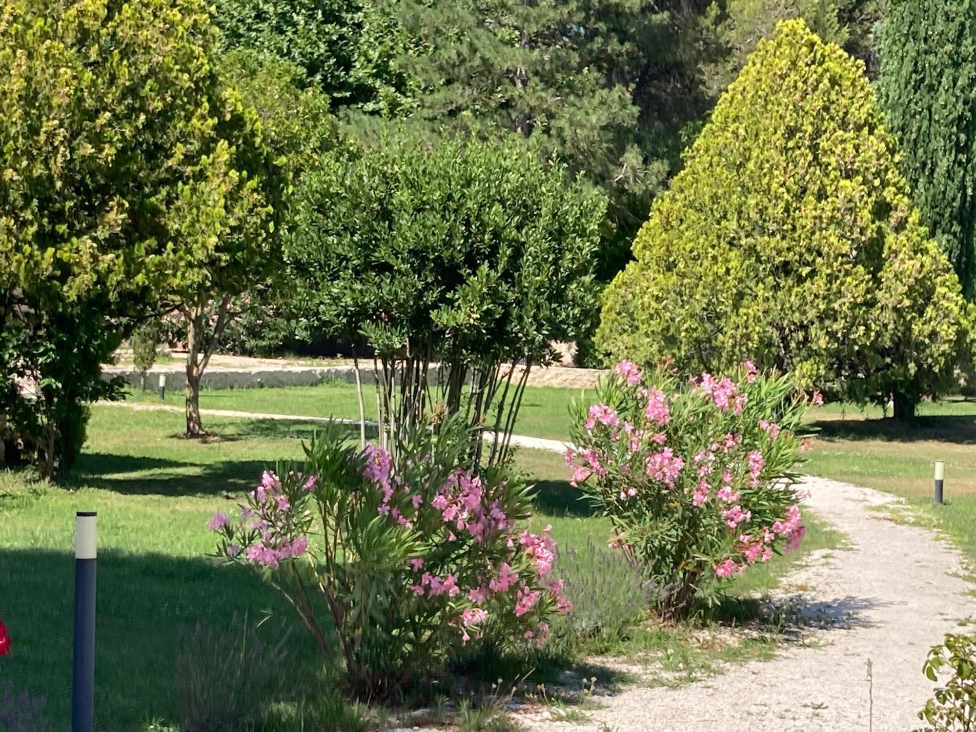 Saint-Andiol Mas Galinette B&B 외부 사진