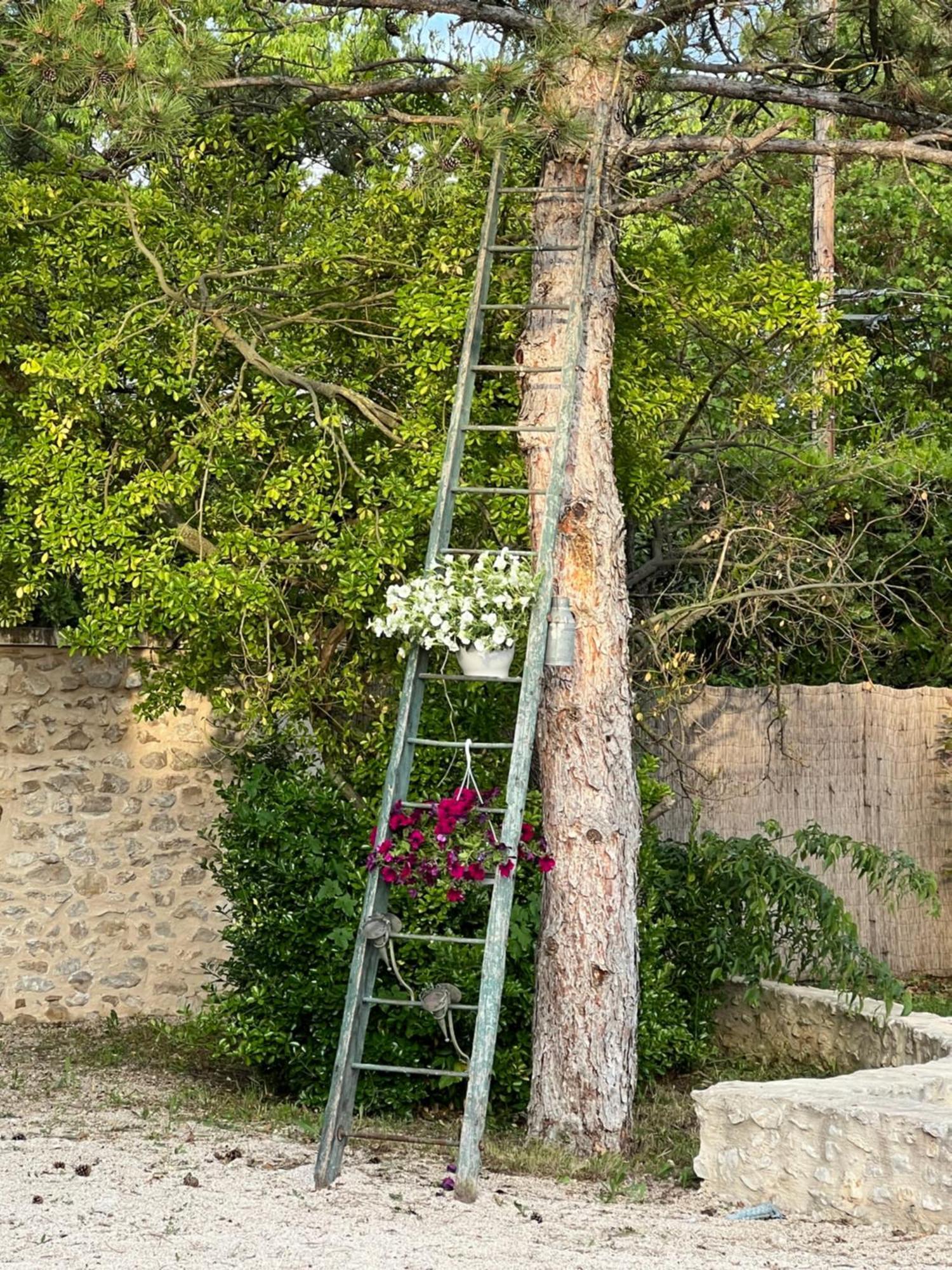 Saint-Andiol Mas Galinette B&B 외부 사진